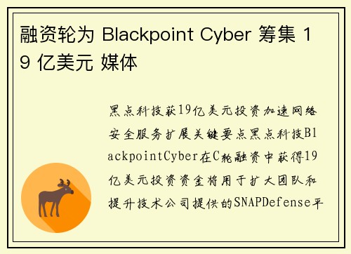 融资轮为 Blackpoint Cyber 筹集 19 亿美元 媒体